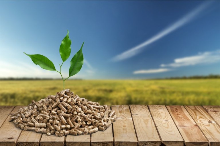 Producent pelletu drzewnego dobrej jakości