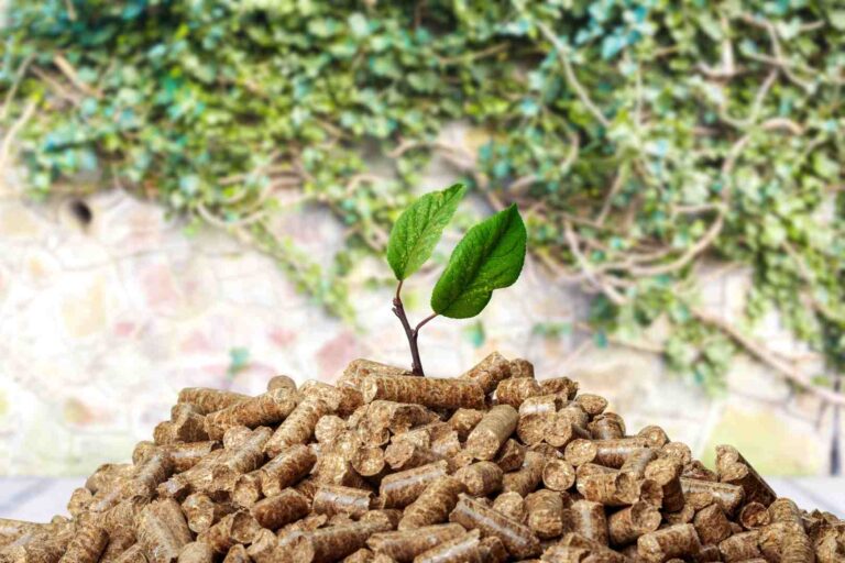 Jak wybrać wysokiej klasy pellet?